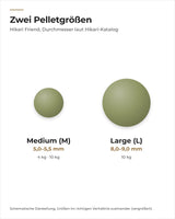 Hikari Friend Pelletgrößen Medium und Large im Größenvergleich
