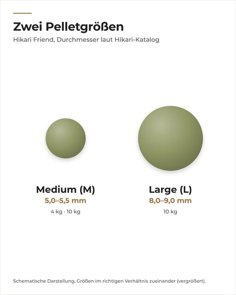 Hikari Friend Pelletgrößen Medium und Large im Größenvergleich