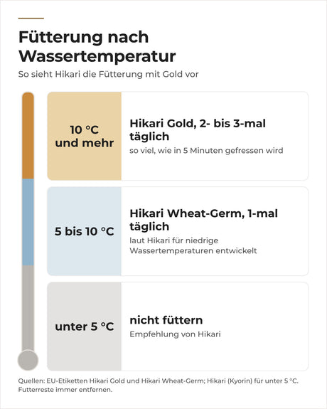 Hikari-Fütterung nach Wassertemperatur: Gold ab 10 °C, Wheat-Germ ab 5 °C, darunter nicht füttern