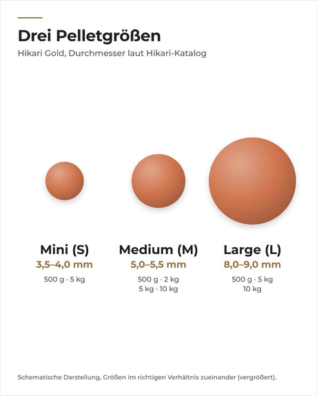 Hikari Gold Pelletgrößen Mini, Medium und Large im Größenvergleich
