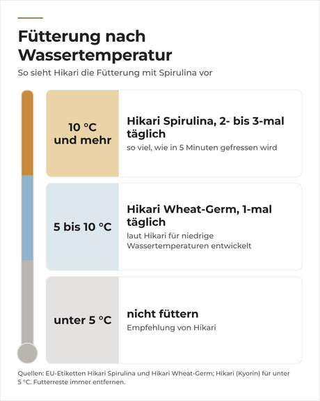 Hikari-Fütterung nach Wassertemperatur: Spirulina ab 10 °C, Wheat-Germ ab 5 °C, darunter nicht füttern