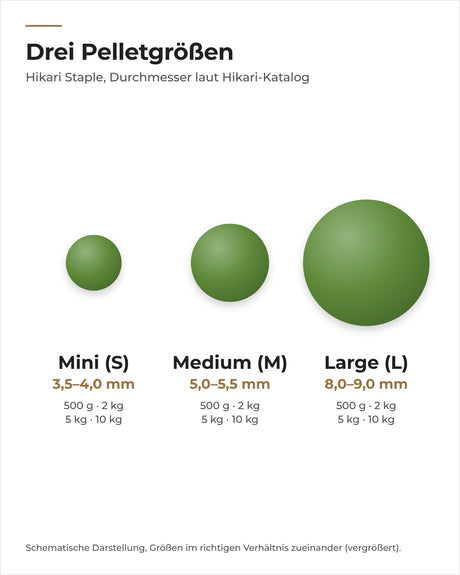 Hikari Staple Pelletgrößen Mini, Medium und Large im Größenvergleich