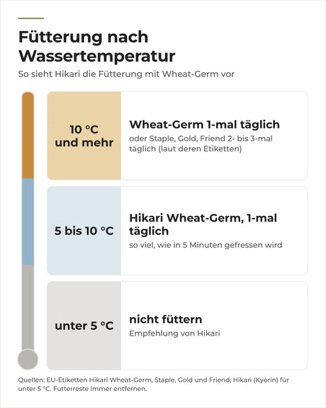 Hikari Wheat-Germ nach Wassertemperatur: oberhalb von 5 °C 1-mal täglich, darunter nicht füttern