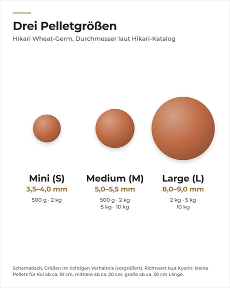 Hikari Wheat-Germ Pelletgrößen Mini, Medium und Large im Größenvergleich