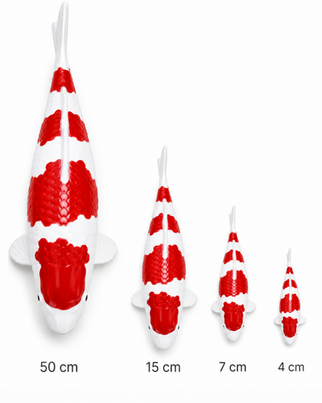 Kohaku Koi-Figuren in den Größen 50 cm, 15 cm, 7 cm und 4 cm im direkten Größenvergleich