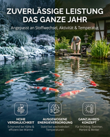Koi Fütterung im Teich für zuverlässige Leistung und Gesundheit das ganze Jahr