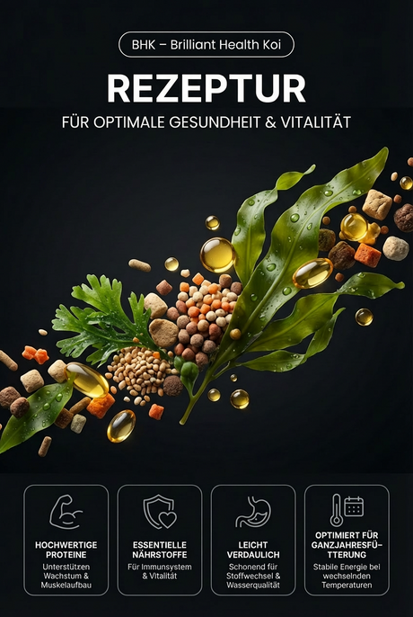 Koi Futter Rezeptur mit natürlichen Inhaltsstoffen für ganzjährige Vitalität