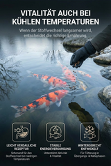 Koi Fütterung im Winter für Vitalität bei kalten Temperaturen