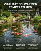 Koi Fütterung im Winter für Vitalität bei kalten Temperaturen