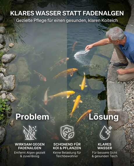 Koi Teich Problem und Lösung klares Wasser durch Behandlung von Fadenalgen im Teich