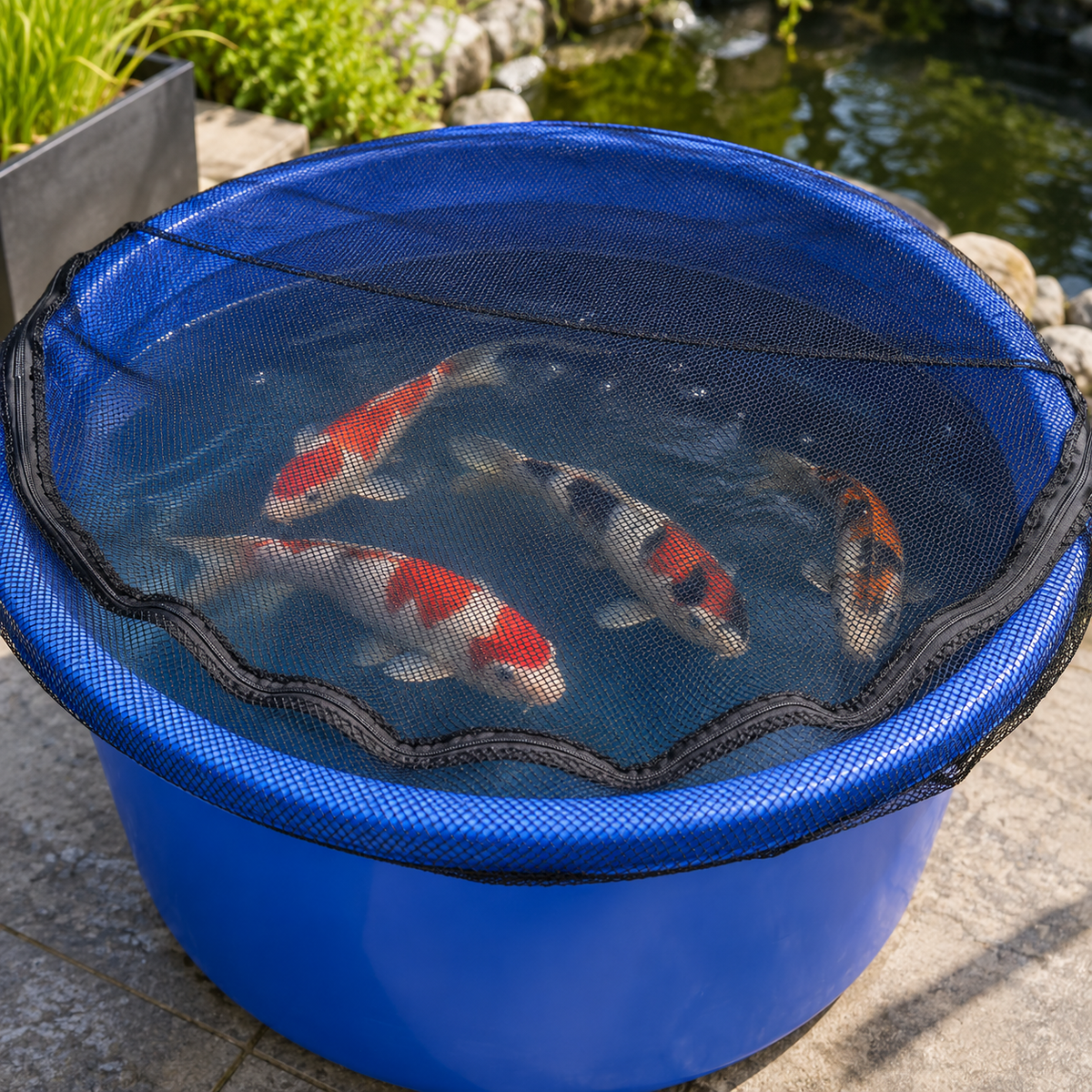 Koi Wannenabdecknetz Bowl Net blaue Koiwanne Koi Fische Sicherungsnetz Sprungschutz Transportwanne Fischschutznetz Teichzubehör Koizubehör Wannenabdeckung Koiabdeckung Teichbedarf Fischsicherung