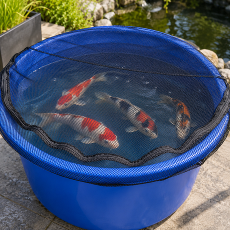 Koi Wannenabdecknetz Bowl Net blaue Koiwanne Koi Fische Sicherungsnetz Sprungschutz Transportwanne Fischschutznetz Teichzubehör Koizubehör Wannenabdeckung Koiabdeckung Teichbedarf Fischsicherung