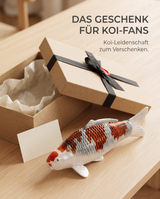 Handbemalte Kujaku Koi-Figur als Geschenkidee für Koi-Fans neben einer Geschenkbox
