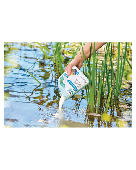 Weißes OxyPlus-Granulat wird aus der Flasche zwischen Schilf in den Teich gegeben