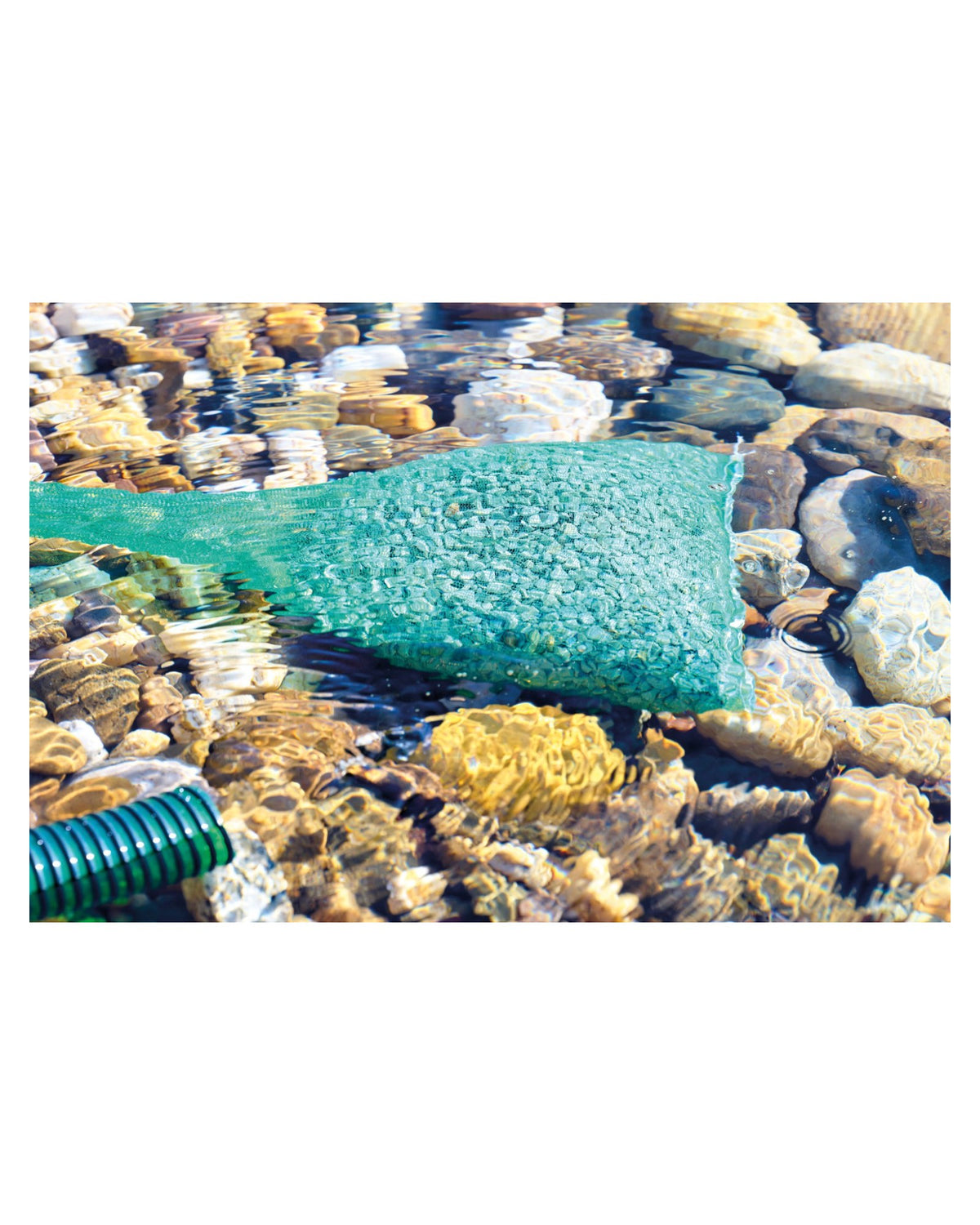 Netzbeutel mit PondLith-Zeolith liegt im flachen Wasser auf Kieseln