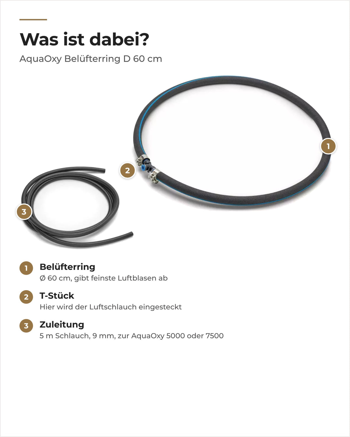 Aufbau des OASE AquaOxy Belüfterrings: Ring, T-Stück mit Steckanschluss und 5 m Zuleitung