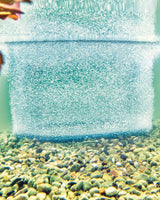 OASE AquaOxy Belüfterring unter Wasser: breiter Vorhang feiner Luftblasen über dem Kiesgrund