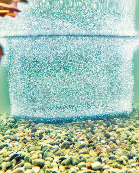 OASE AquaOxy Belüfterring unter Wasser: breiter Vorhang feiner Luftblasen über dem Kiesgrund