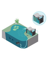 Schema: OASE BioSmart UVC 16000 am Teichrand, die AquaMax Eco Classic im Teich fördert das Wasser