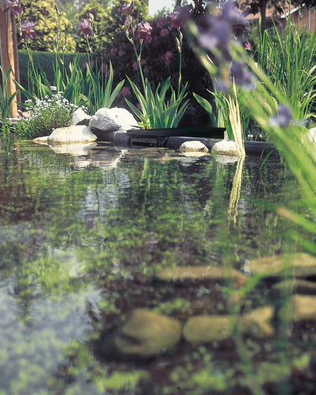 Eingebauter OASE BioSys Skimmer + am Rand eines Gartenteichs, schwarzer Deckel zwischen Steinen