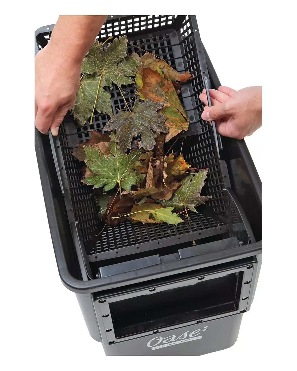 Schmutzkorb mit Laub wird aus dem OASE BioSys Skimmer + gehoben