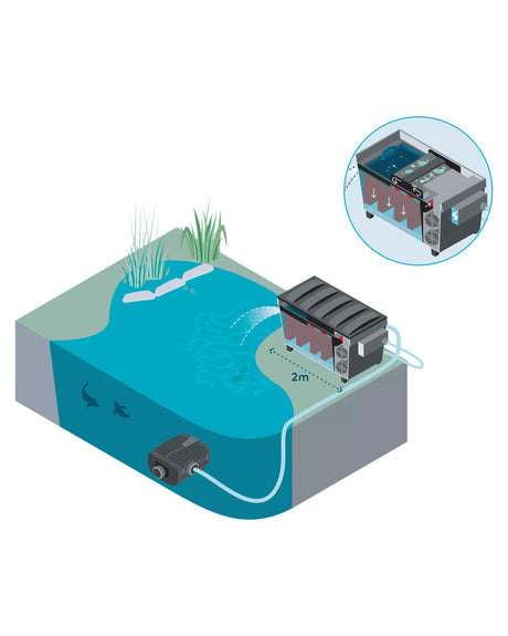 OASE BioTec ScreenMatic² Set als Einbaubeispiel: Pumpe im Teich, Filter und Bitron C am Ufer