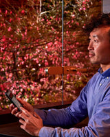 Hecke am Abend in rotem Licht, ein Mann bedient die Gartenbeleuchtung per Smartphone