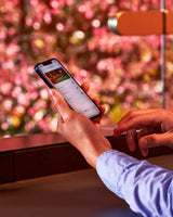 Steuerung per App OASE Switch: Smartphone vor einer rot angestrahlten Hecke