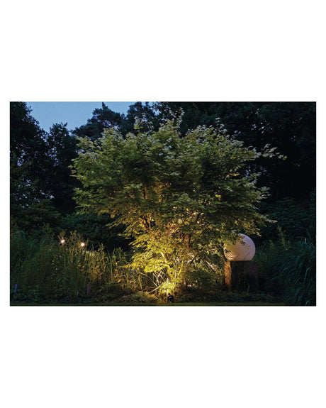 Baum im Garten nachts von unten mit LunAqua Power LED angestrahlt