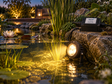 OASE LunAqua Power LED Set 1 im Gartenteich mit warmweißer Unterwasserbeleuchtung zwischen Wasserpflanzen und Steinen