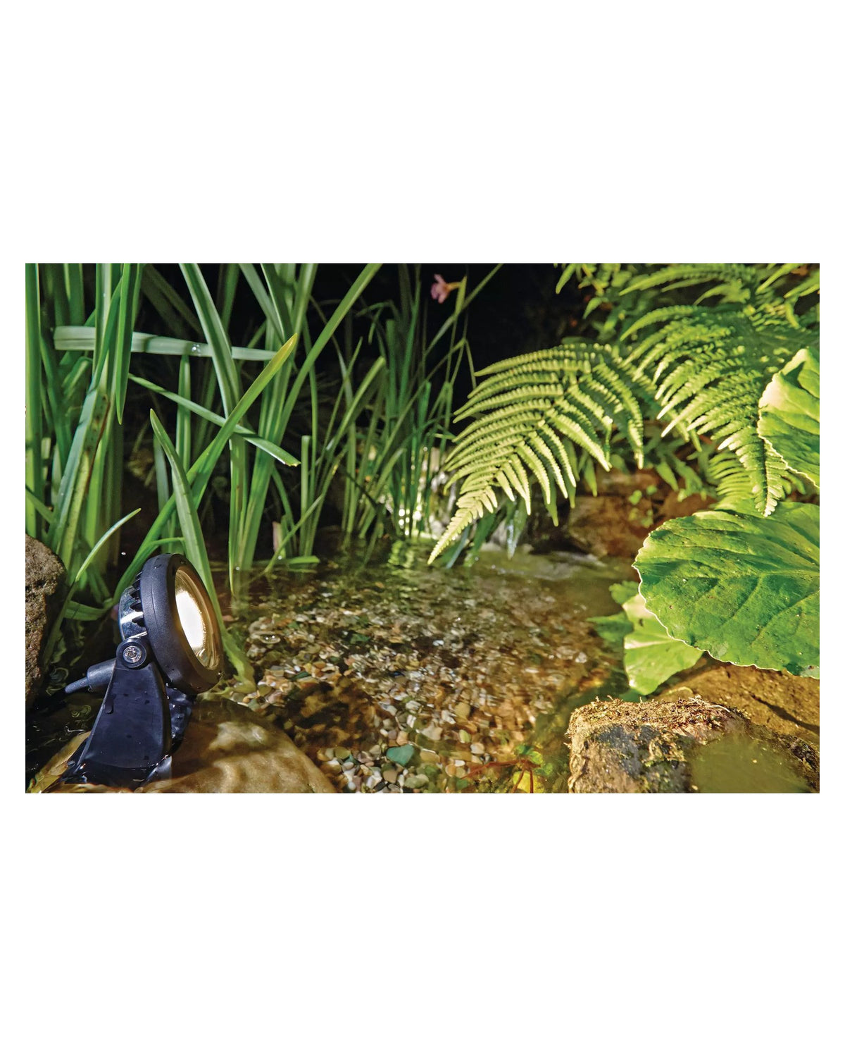 LunAqua Power LED zwischen Farnen und Kies am Wasser, nachts