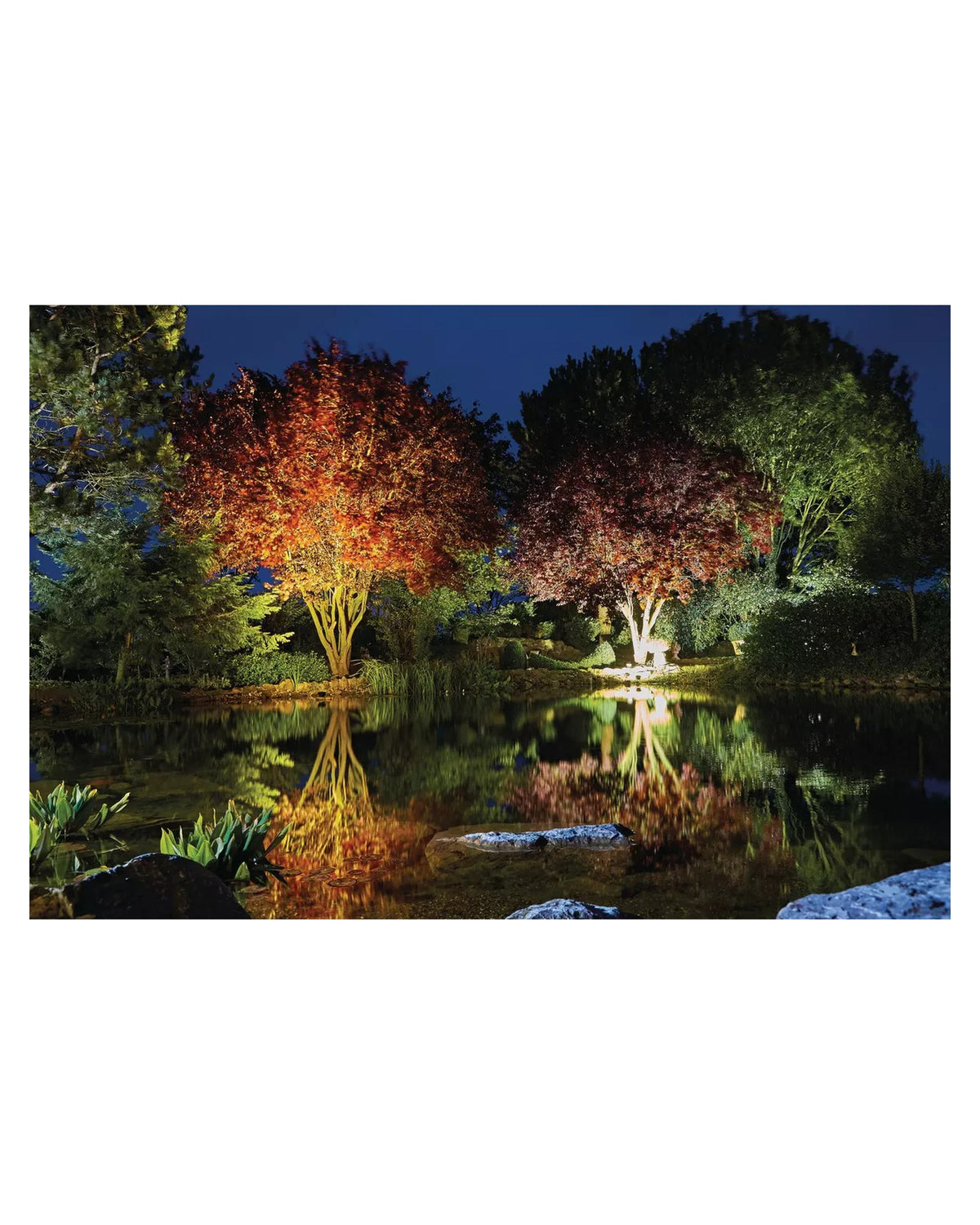 Teich mit Bäumen und Sträuchern, nachts mit LunAqua Power LED XL in Warm- und Neutralweiß angestrahlt