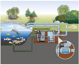 Einbauschema Oase PhosLess Flow 3000 im Teichfiltersystem zur Reduzierung von Phosphat im Koi- und Gartenteich
