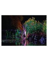 Beispiel: Teichufer nachts mit ProfiLux Garden LED RGB farbig beleuchtet (Strahler nicht dabei)