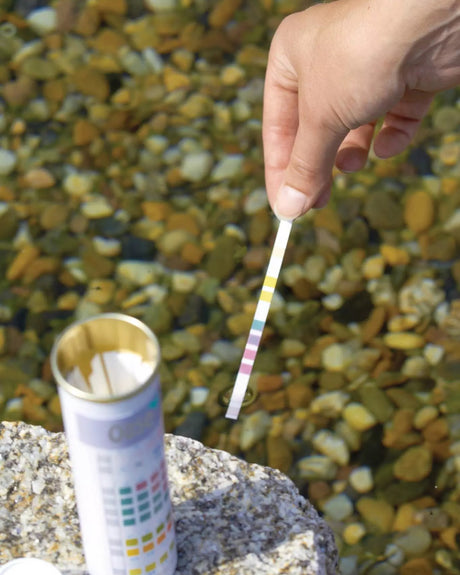 Teststreifen über klarem Wasser, Dose der OASE QuickSticks 6in1 auf einem Stein