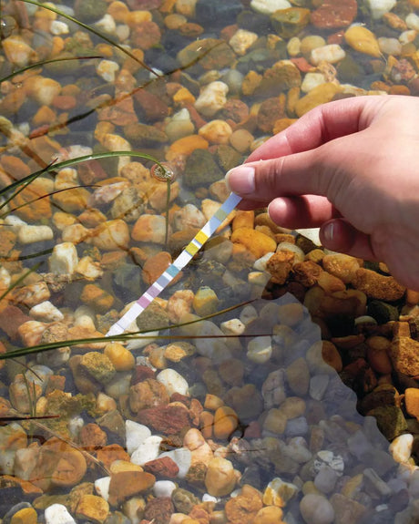 Teststreifen der OASE QuickSticks 6in1 wird in klares Wasser getaucht