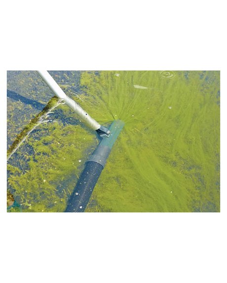 OASE Runddüse an Stiel und Spiralschlauch in einem Teich mit Fadenalgen