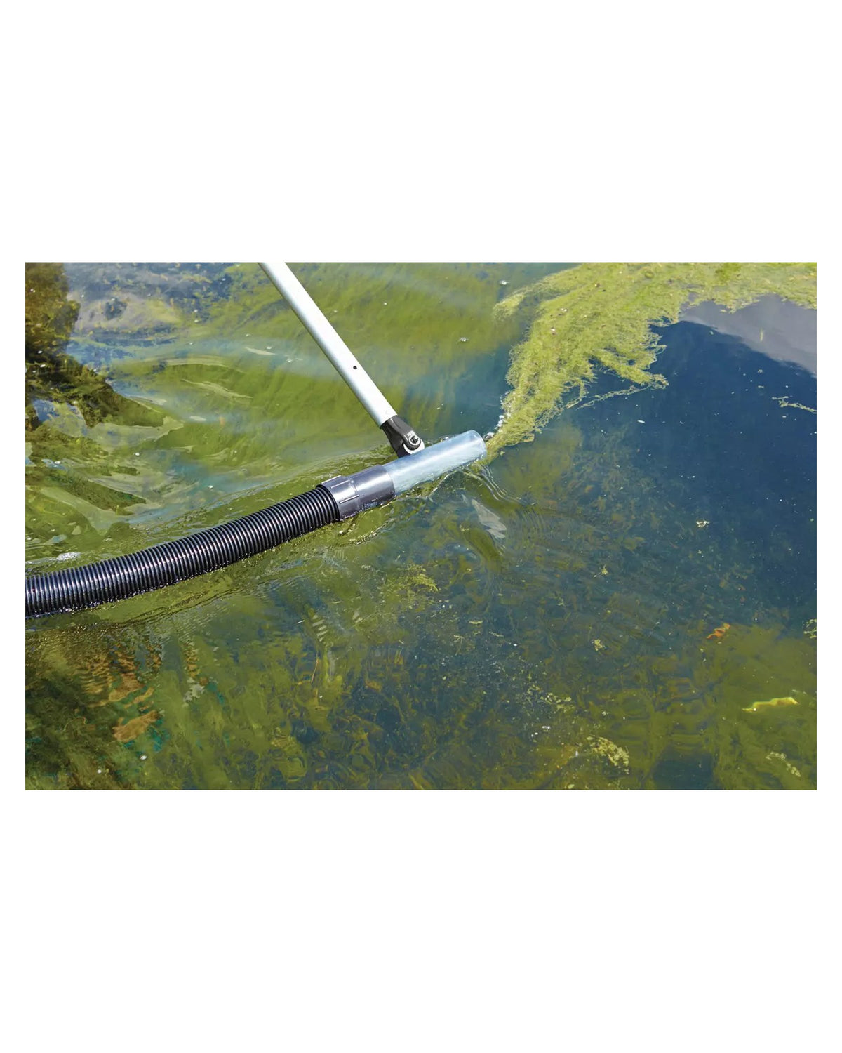 Runddüse am schwarzen Saugschlauch im Teich, daneben Fadenalgen an der Oberfläche