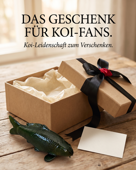 Olive Chagoi Koi-Figur als besondere Geschenkidee für Koi-Fans – handbemalte olivgrüne Fischfigur neben Geschenkbox als Japan-Deko für Wohnbereich, Eingangsbereich, Terrasse oder Garten