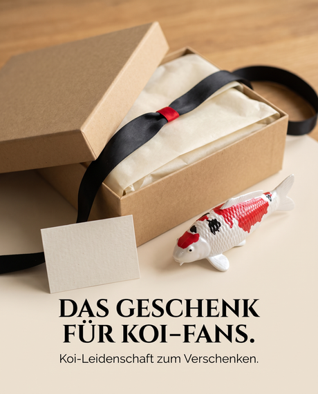 Handbemalte Sanke Koi-Figur in Rot, Schwarz und Weiß als Geschenkidee für Koi-Fans neben einer Geschenkbox
