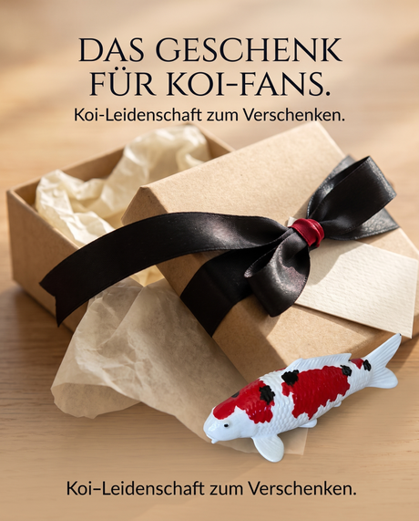 Handbemalte Sanke Koi-Fischfigur in Rot, Schwarz und Weiß als besondere Geschenkidee für Koi-Fans neben einer Geschenkbox.