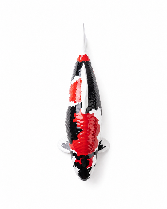 Handbemalte Showa Koi-Figur in Rot, Schwarz und Weiß – dekorative Fischfigur für Garten, Teichbereich, Terrasse oder als besondere Geschenkidee