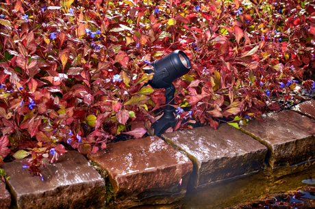 LED Teichstrahler zur Gartenbeleuchtung am Teichrand zwischen roten Pflanzen