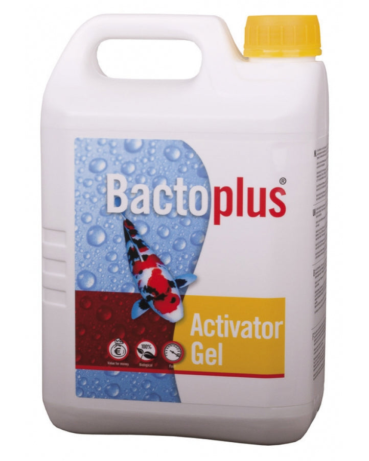 Gel activateur Bactoplus