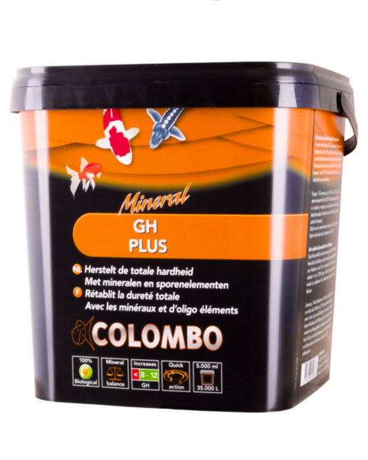 Colombo GH+